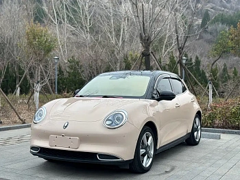 Euler Good Cat 2021 Model 400km Standard Range Venus Edition Lithium Iron Phosphate купить на сайте DeffCars