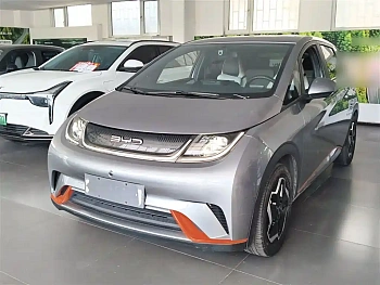 Dolphin 2021 405km Free Edition купить на сайте DeffCars