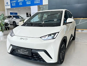 Seagull 2024 Honor Edition 405km Flying Edition купить по цене 1 882 611 ₽  на сайте DeffCars