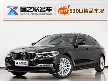 BMW 5 Series 2020 530Li Exclusive Luxury Package купить на сайте DeffCars