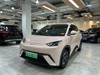 Seagull 2024 Honor Edition 405km Flying Edition купить по цене 1 749 704 ₽  на сайте DeffCars