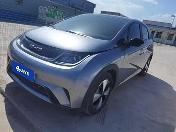 Dolphin 2023 model 420km fashion version купить по цене 1 983 742 ₽  на сайте DeffCars