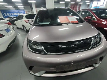 Dolphin 2023 model 420km fashion version купить по цене 1 817 430 ₽  на сайте DeffCars