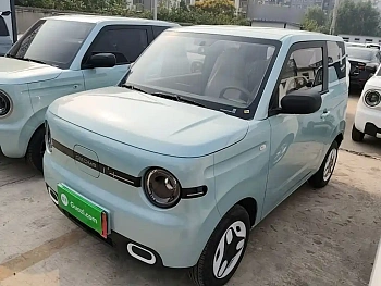 Panda 2025 Panda mini 210km Yuanqi Bear купить на сайте DeffCars