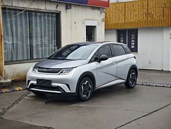 Dolphin 2021 405km Free Edition купить по цене 1 751 504 ₽  на сайте DeffCars