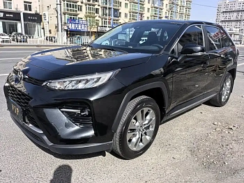 Wilanda 2022 2.0L CVT two-wheel drive luxury version купить на сайте DeffCars