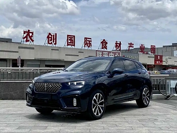 Wei brand VV7 2020 2.0T super luxury model купить на сайте DeffCars