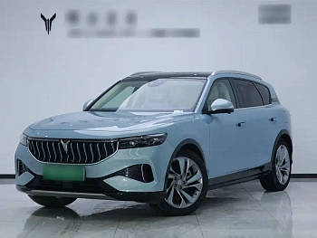 Lantu FREE 2021 four-wheel drive pure electric first commemorative edition exclusive luxury package купить на сайте DeffCars