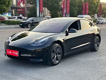 Model 3 2022 rear-wheel drive version купить на сайте DeffCars