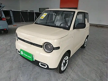 Panda 2025 Panda mini 210km Yuanqi Bear купить на сайте DeffCars