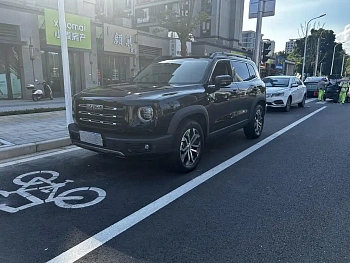 Haval Big Dog 2021 1.5T DCT Two-wheel drive Labrador Edition купить по цене 1 965 326 ₽  на сайте DeffCars