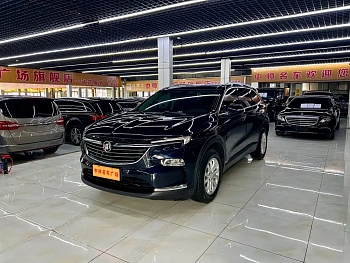 Angkeqi 2020 28T two-wheel drive luxury model купить на сайте DeffCars