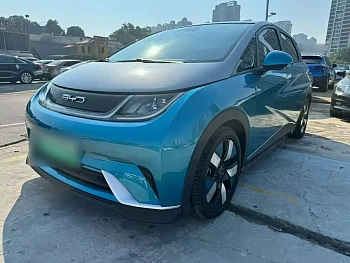 Dolphin 2021 401km Rider Edition купить на сайте DeffCars