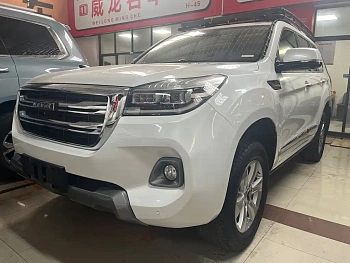 Haval H9 2020 2.0T gasoline four-wheel drive luxury model 7-seater купить по цене 2 361 053 ₽  на сайте DeffCars