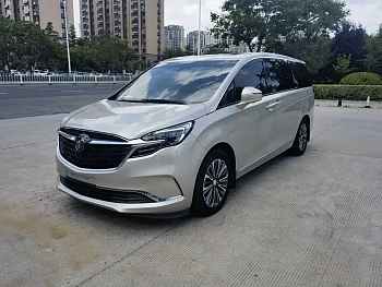 Buick GL8 2020 ES Luzun 653T flagship model купить на сайте DeffCars