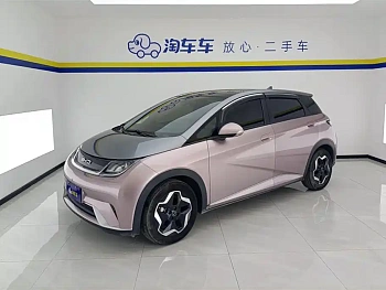 Dolphin 2021 model 405km fashion version купить по цене 1 769 779 ₽  на сайте DeffCars