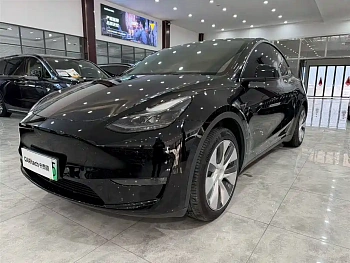Model Y 2021 standard range rear-wheel drive version купить на сайте DeffCars