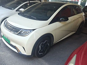 Dolphin 2021 model 405km fashion version Dolphin 2021 model 405km fashion version купить по цене 1 699 864 ₽  на сайте DeffCars