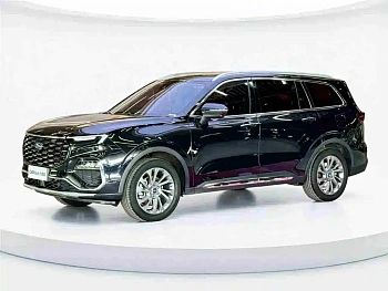 Lingyu 2023 EcoBoost 225 collar type 7 seats (2/2/3) купить на сайте DeffCars