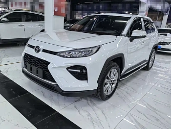 Wilanda 2022 2.0L CVT two-wheel drive luxury version купить на сайте DeffCars
