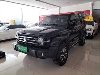 TANK 300 2023 City Edition 2.0T Very Stylish купить на сайте DeffCars