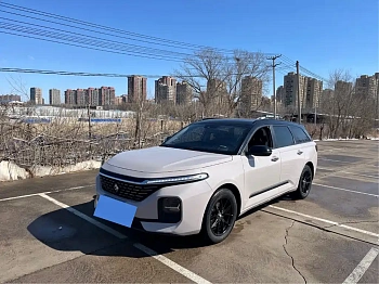 Baojun Valli 2021 1.5T Yili Ranch CVT luxury model купить на сайте DeffCars