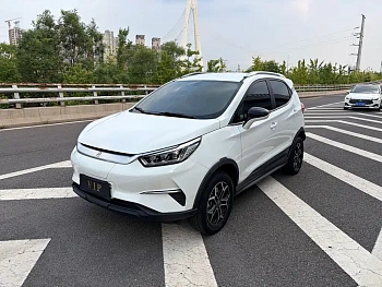 Yuan Pro 2021 Love Lifetime Edition купить на сайте DeffCars