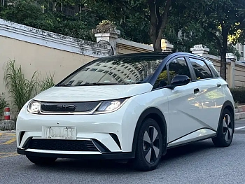 Dolphin 2025 model 420km fashion version купить по цене 2 033 900 ₽  на сайте DeffCars